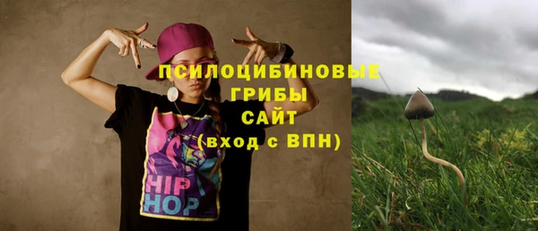 спайс Беломорск