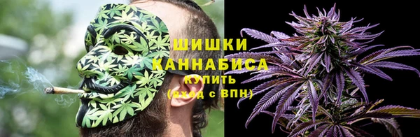гидра Белоозёрский